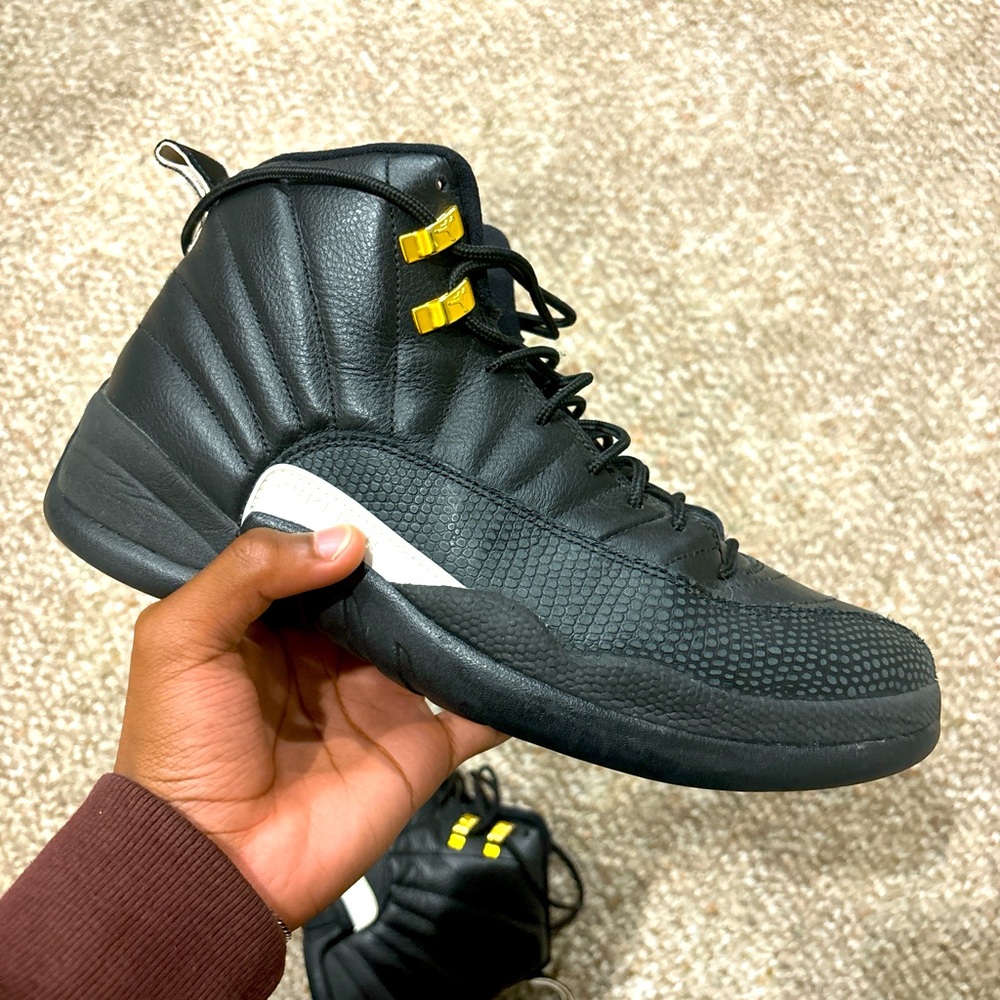 Jordan 12 The Master